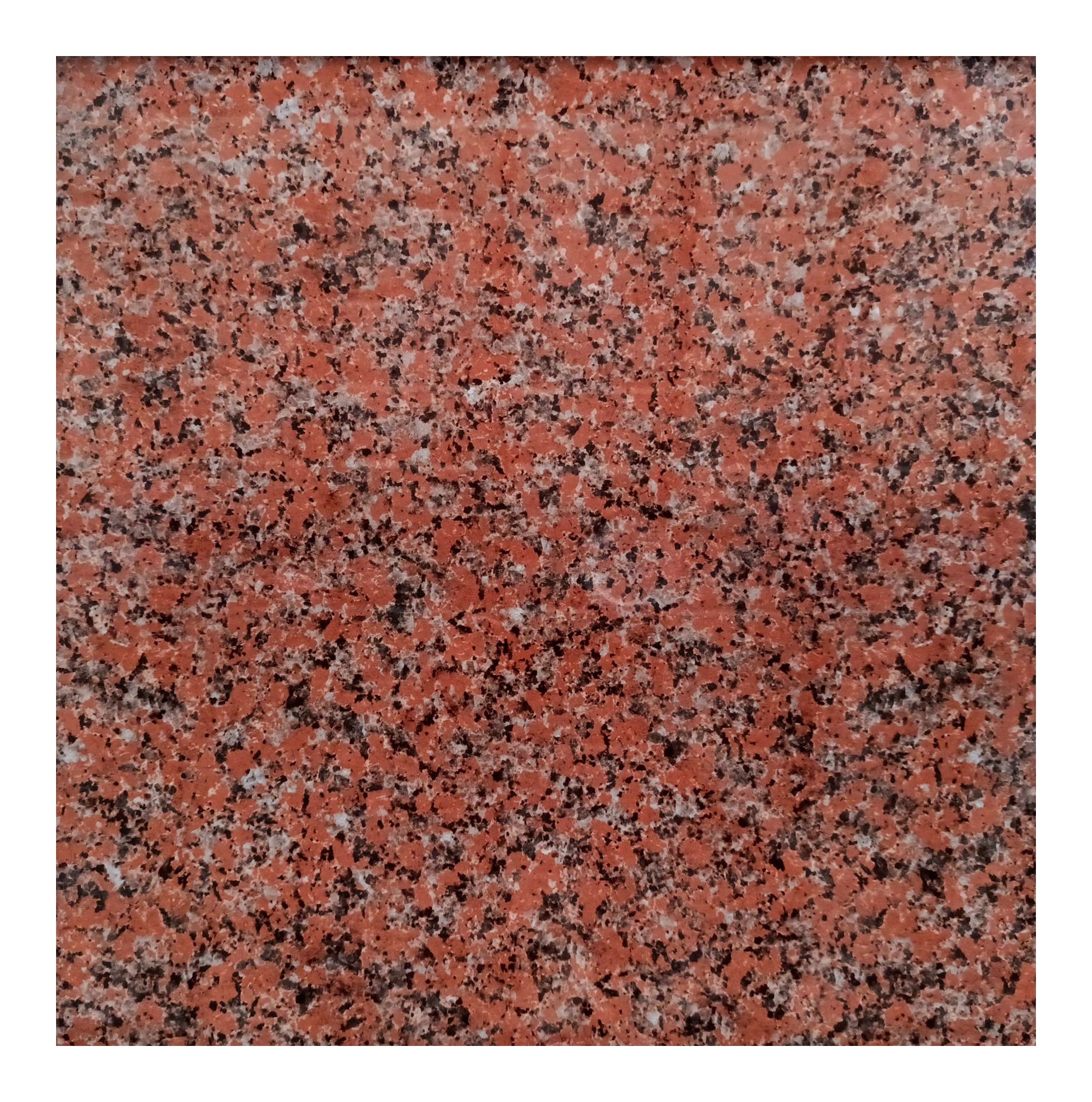 HSD616 Crimson Granite | 60x60 Heavy-Duty Porcelain Tile Glossy