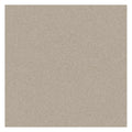LTP6238 Desert Sand | 60x60 Vitrified Ceramic Tiles Glossy