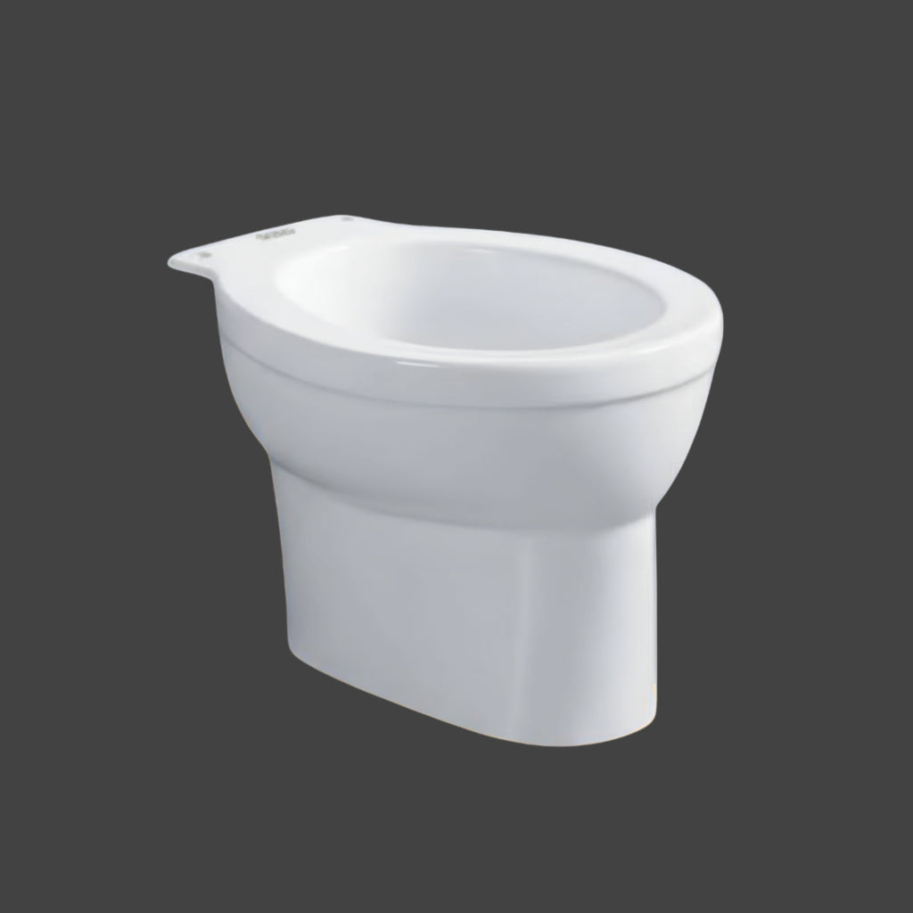 Premium Floor-Mounted Back-to-Wall Toilet | Tankless Minimalist Design SH-8015 Small