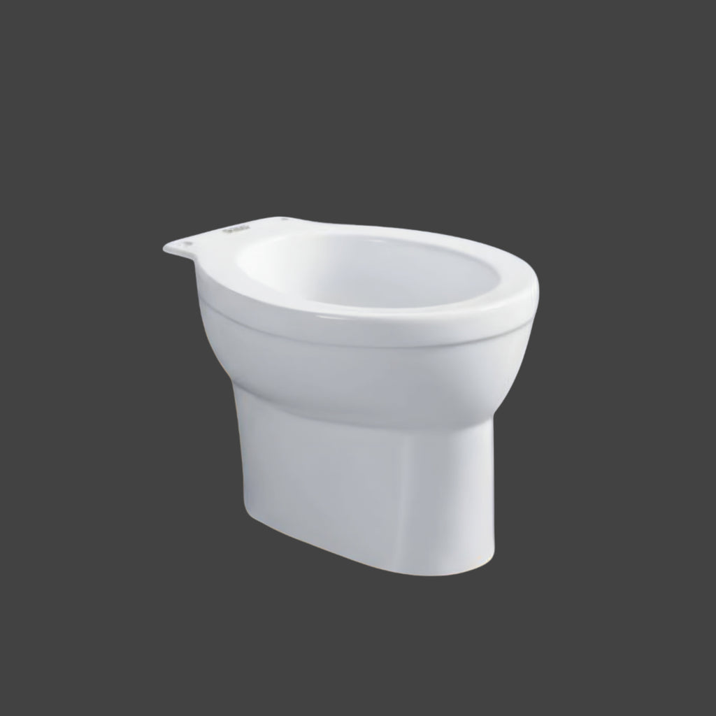 Premium Floor-Mounted Back-to-Wall Toilet | Tankless Minimalist Design SH-8015 Small