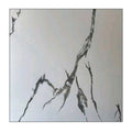 HPD6690 - Shadow Trace (60x60 Glossy Tiles)