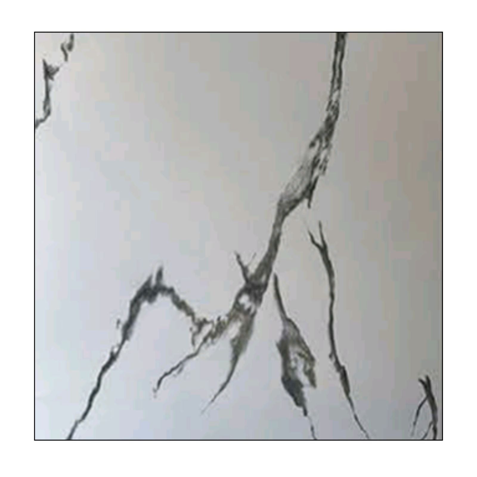 HPD6690 - Shadow Trace (60x60 Glossy Tiles)